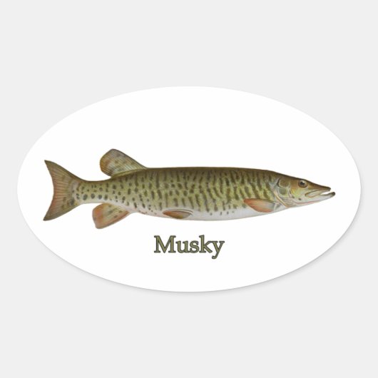 Sticker Ovale Musky (muskellunge) (Devant)