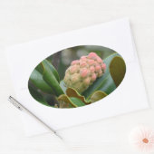 Sticker Ovale Nature mystérieuse : Magnolia Pod (Enveloppe)