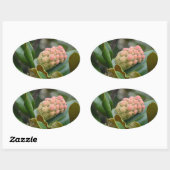 Sticker Ovale Nature mystérieuse : Magnolia Pod (Feuille)