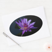 Sticker Ovale Nénuphar Lotus (Enveloppe)