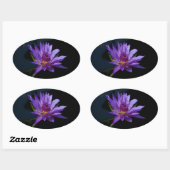 Sticker Ovale Nénuphar Lotus (Feuille)