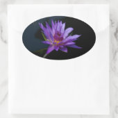 Sticker Ovale Nénuphar Lotus (Sac)