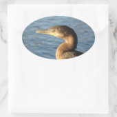 Sticker Ovale Neotropic Cormorant (Sac)