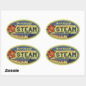 Sticker Ovale Nettoyeur à vapeur DeVilco (Feuille)