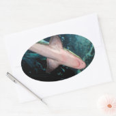 Sticker Ovale NJ Shark CB (Enveloppe)