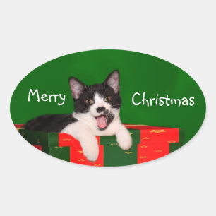 Sticker Ovale Noël du chat de Tuxedo