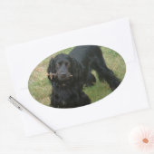 Sticker Ovale noir anglais cocker spaniel plein 2 (Enveloppe)
