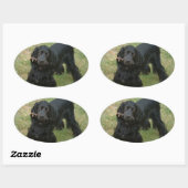 Sticker Ovale noir anglais cocker spaniel plein 2 (Feuille)