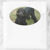 Sticker Ovale noir anglais cocker spaniel plein 2 (Sac)