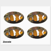 Sticker Ovale Ocellaris Clowfish (Feuille)