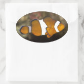 Sticker Ovale Ocellaris Clowfish (Sac)