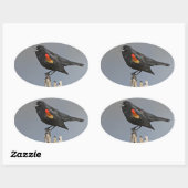 Sticker Ovale Oiseau noir à ailes rouges (Feuille)