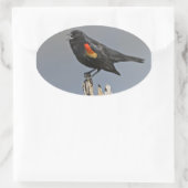 Sticker Ovale Oiseau noir à ailes rouges (Sac)