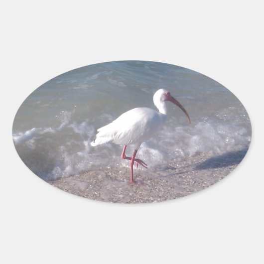 Sticker Ovale Oiseaux de Floride (Devant)