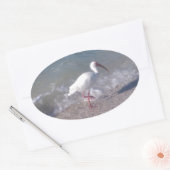 Sticker Ovale Oiseaux de Floride (Enveloppe)