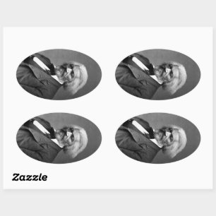 Sticker Ovale Old Fr3d3rick Bailey Douglas African American Hero