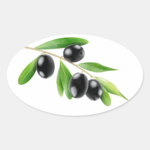 Sticker Ovale Olives noires sur une branche