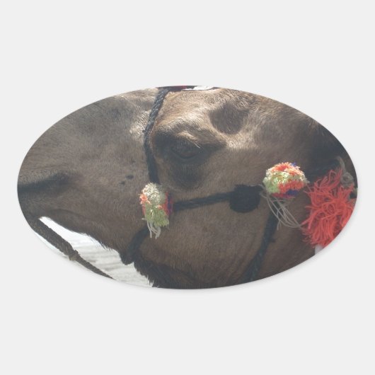 Sticker Ovale Oman Mascate Photo Art (Devant)