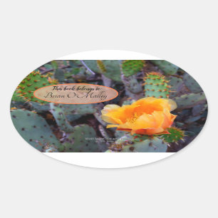 Sticker Ovale Orange poire opuntia cactus photo fleur