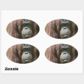 Sticker Ovale Orangoutan (Feuille)