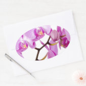 Sticker Ovale orchids-flowers.jpg (Enveloppe)