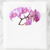 Sticker Ovale orchids-flowers.jpg (Sac)