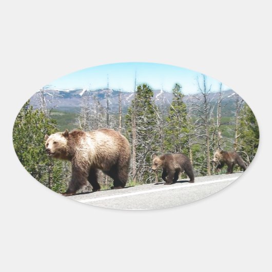 Sticker Ovale Ours grizzli sauvage Mama et petits dans Yellowsto (Devant)