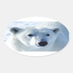 Sticker Ovale Ours polaire