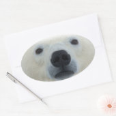 Sticker Ovale Ours polaire (Enveloppe)