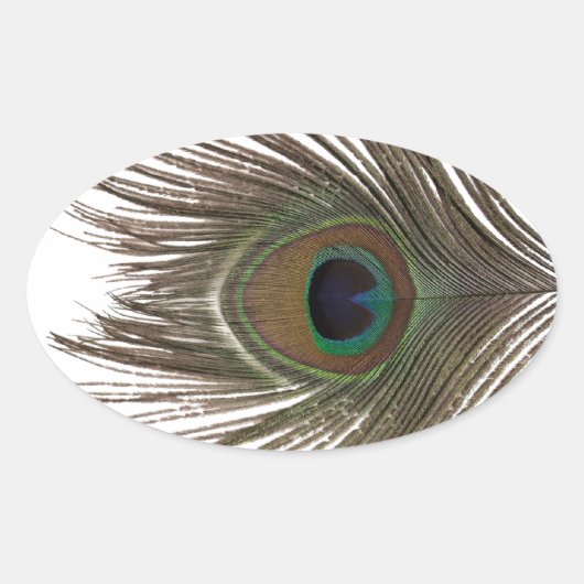 Sticker Ovale Oval de plumes de paon (Devant)