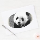 Sticker Ovale Panda Eyes (Enveloppe)