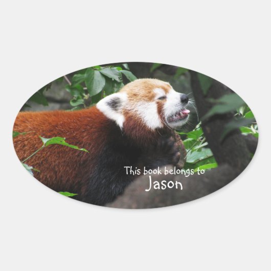 Sticker Ovale Panda rouge en train de sortir sa langue (Devant)