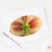 Sticker Ovale Papillon Amaryllis (Enveloppe)