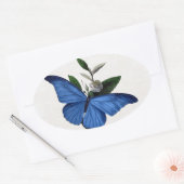Sticker Ovale Papillon bleu (Enveloppe)