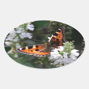 Sticker Ovale Papillon orange et noir sur Fleurs blanches