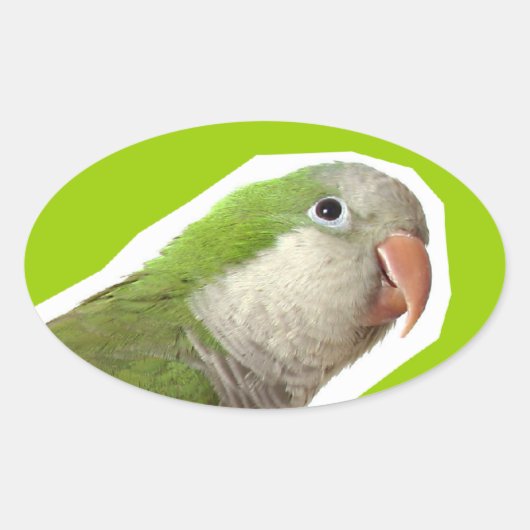 Sticker Ovale Parure de moine (Devant)