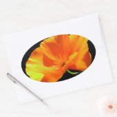 Sticker Ovale Pavot de Californie (Enveloppe)