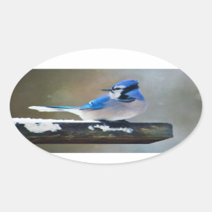 Sticker Ovale Peinture Jay Bleu - Art Oiseau Original