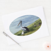 Sticker Ovale Pelican Et Canards, (Enveloppe)