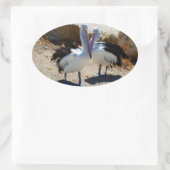 Sticker Ovale Pélicans Amoureux, (Sac)