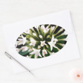 Sticker Ovale Pentas blancs (Enveloppe)