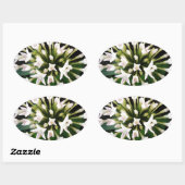 Sticker Ovale Pentas blancs (Feuille)