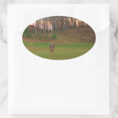 Sticker Ovale Petit cerf et coucher de soleil rose (Sac)