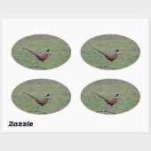 Sticker Ovale Pheasant (Feuille)