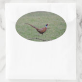 Sticker Ovale Pheasant (Sac)