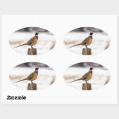 Sticker Ovale Pheasant (Feuille)