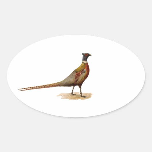 Sticker Ovale Pheasant à cou cerf (Devant)