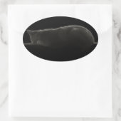 Sticker Ovale Photo Chat couché (Sac)