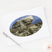 Sticker Ovale Photo couleur roche de champignons (Enveloppe)