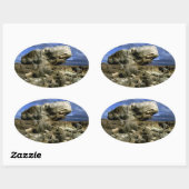 Sticker Ovale Photo couleur roche de champignons (Feuille)